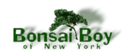 Bonsai Boy