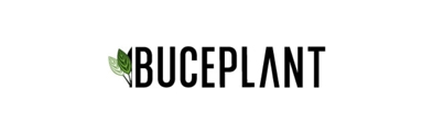 Buceplant